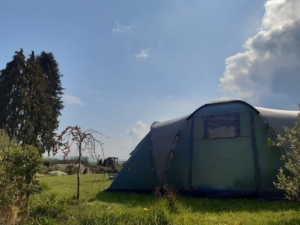 Treetops tent pitch view