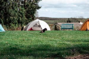 tent and view