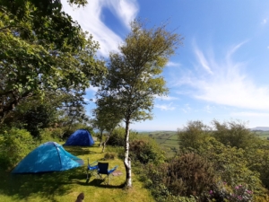 Treetops pitched tents