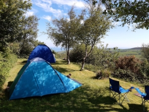 tents in trees view