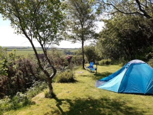 view from treetops pitch