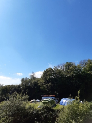 Treetops pitched tents