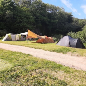 Treetops tent pitches